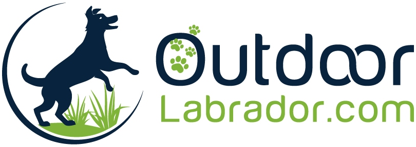 Outdoor Labrador - Best Labrador Supplies and Products